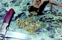 7-31-2012 13-13-12_249.jpg