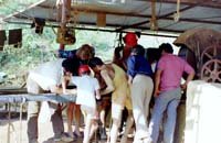 8-22-2012 10-45-41_201.jpg